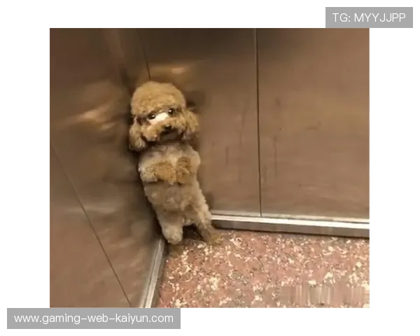 篮球小将被吹走步直接笑死，场面太惊人，网友笑翻！